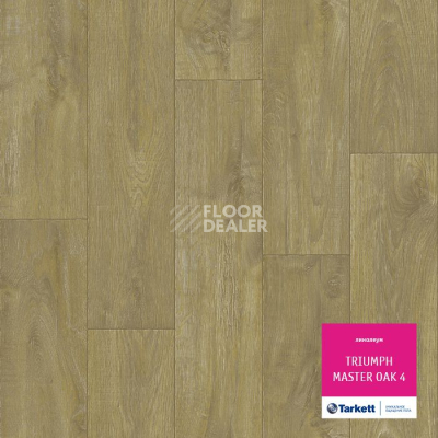 Линолеум Tarkett Triumph MASTER OAK 4 фото 1 | FLOORDEALER